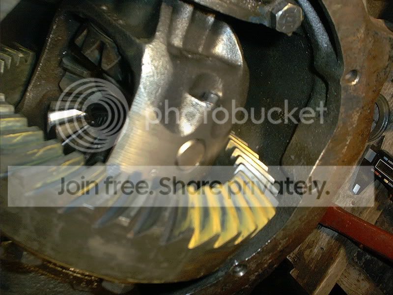 IMG00003.jpg