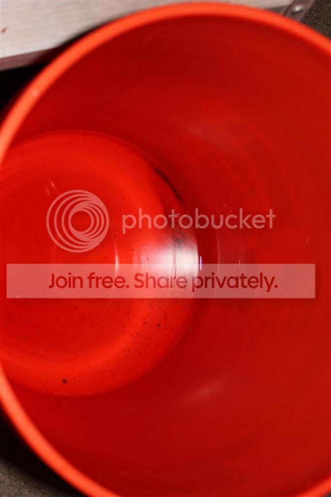 IMG_9098Medium_zps8cf9579d.jpg