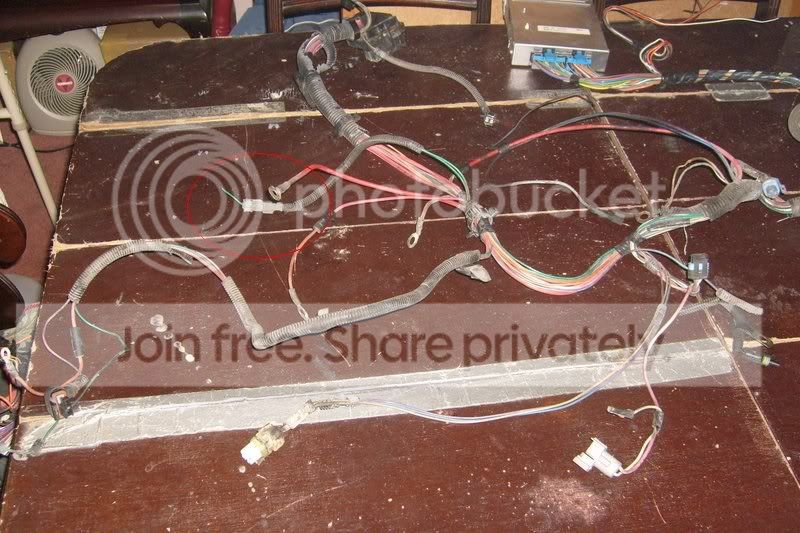 wire2.jpg