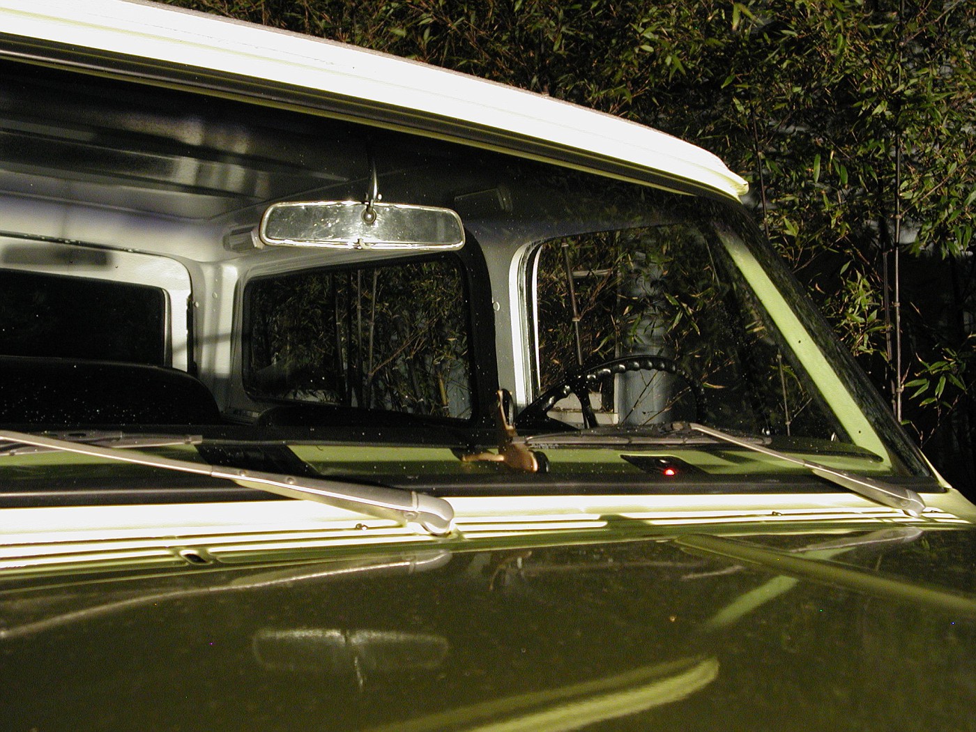 DSCN2269-vi.jpg