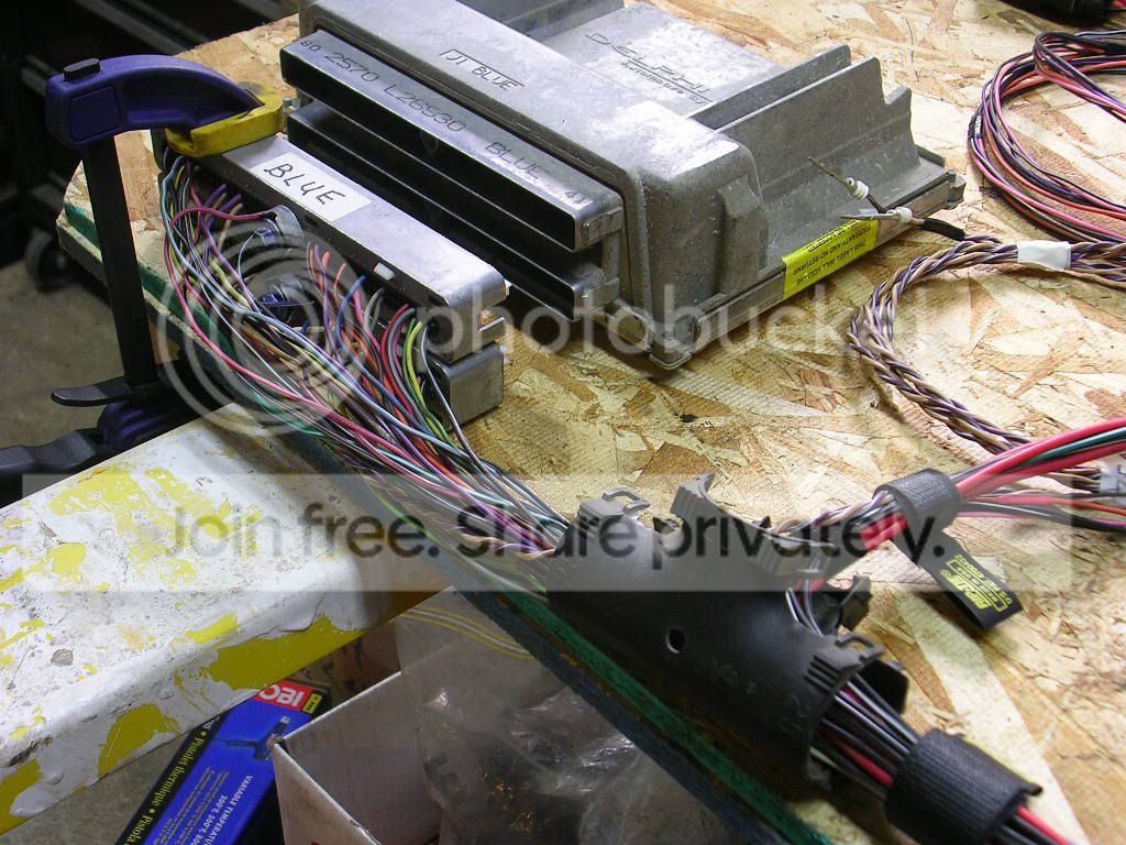 DSCN3092.jpg