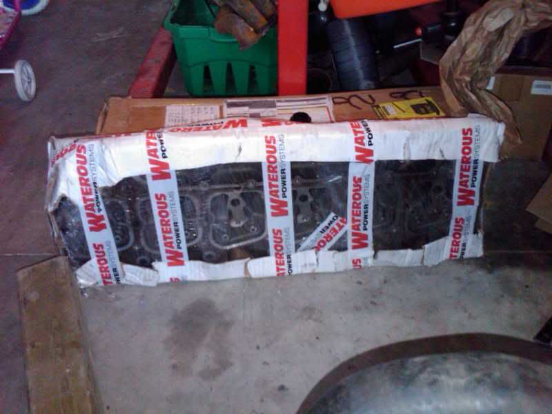 IMG00656-20110220-1800.jpg