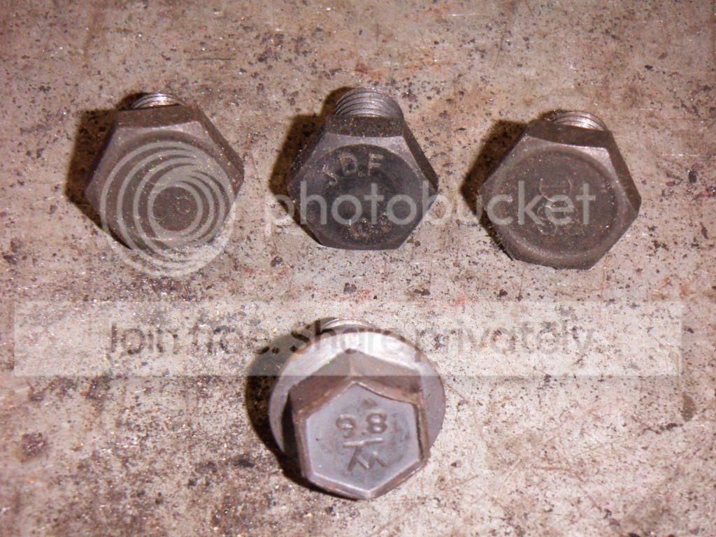 PICT0687.jpg