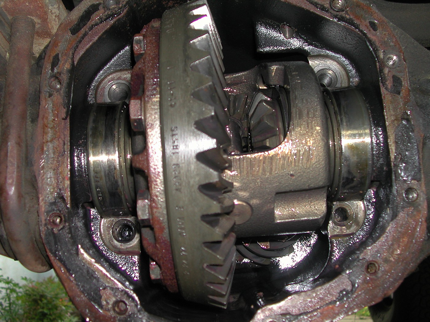DSCN0647-vi.jpg
