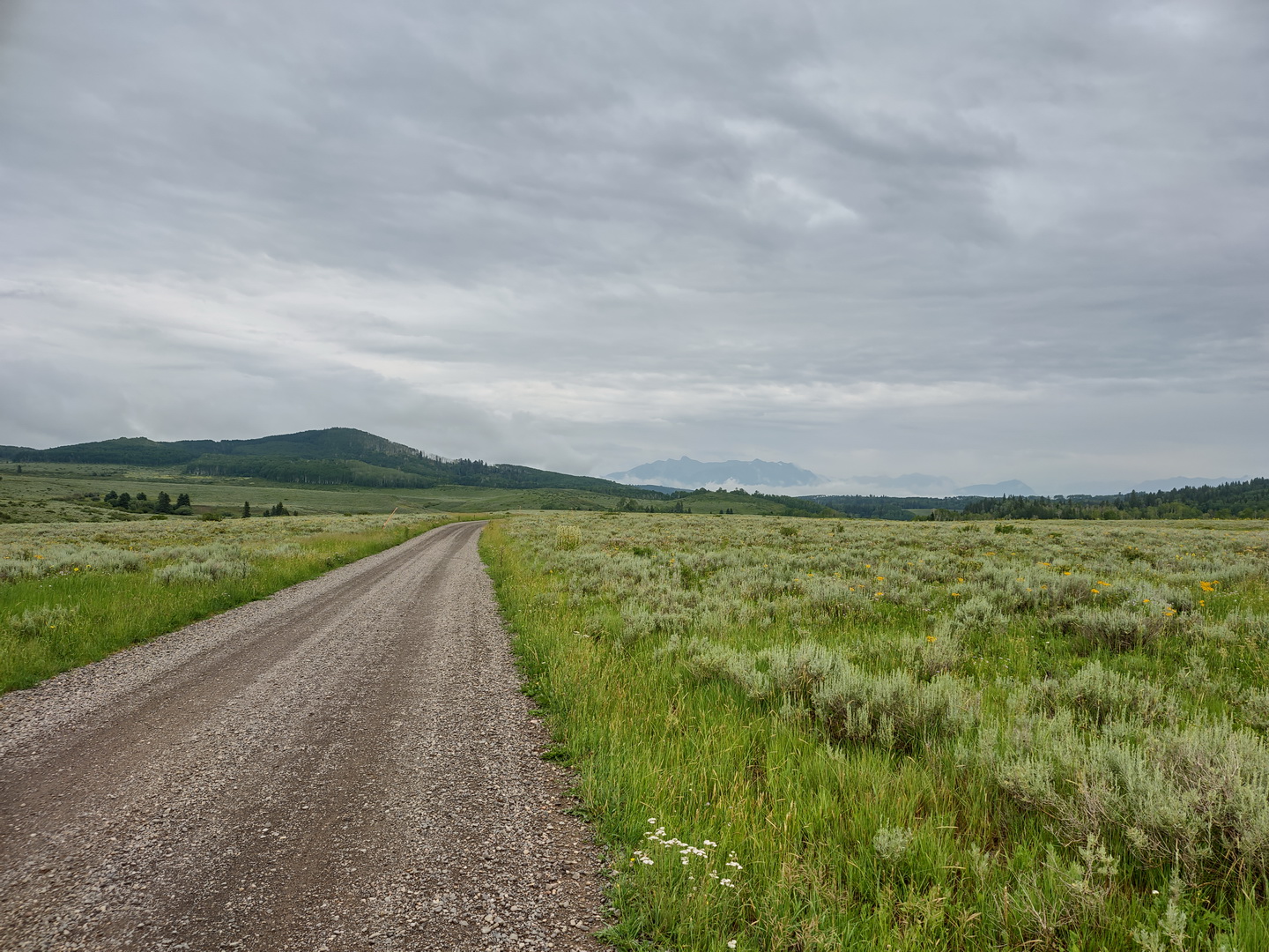 IMG_20210714_124047888_HDR.jpg