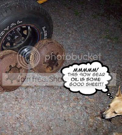XtremesDog.jpg