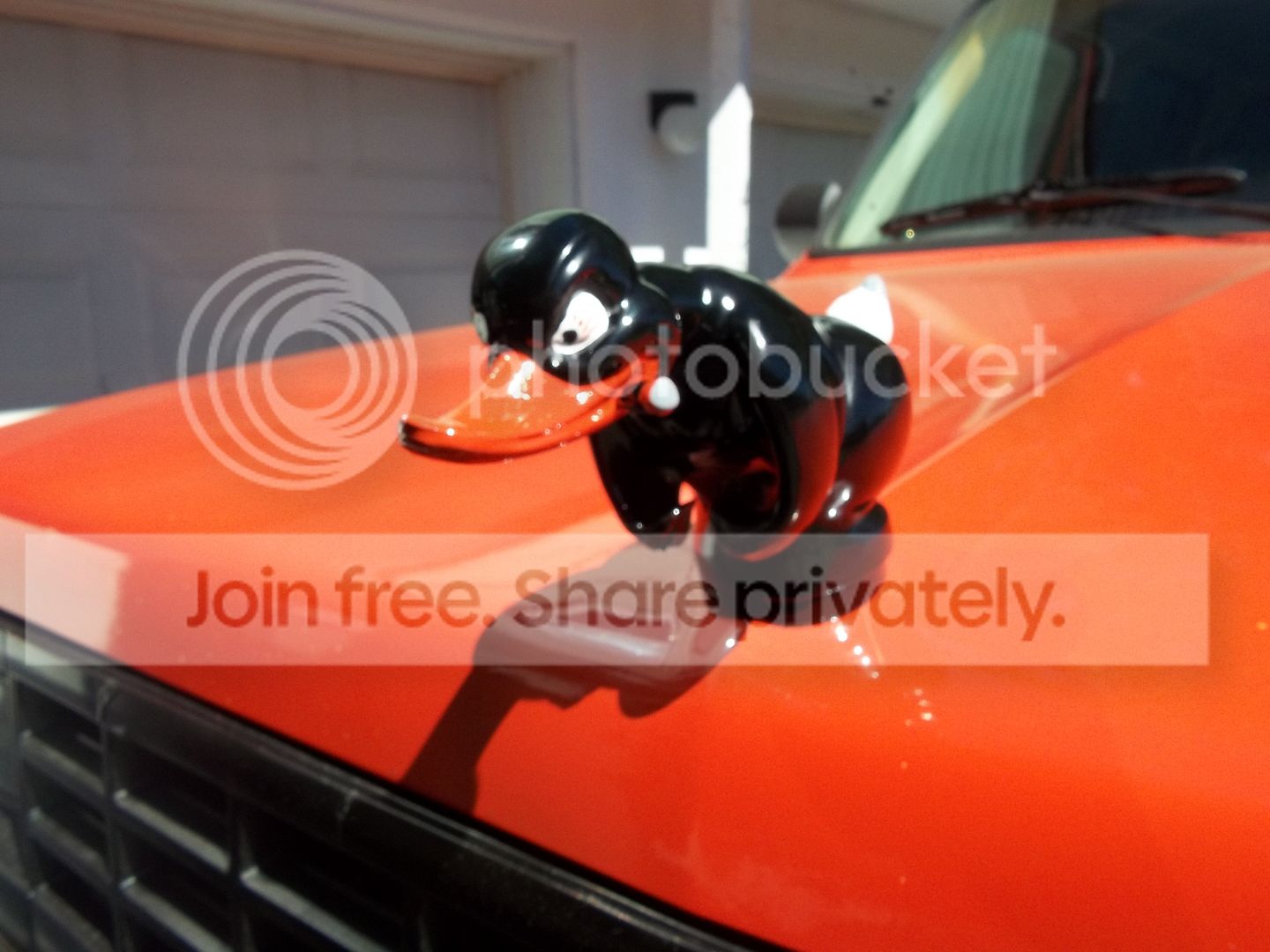 292d7be5.jpg