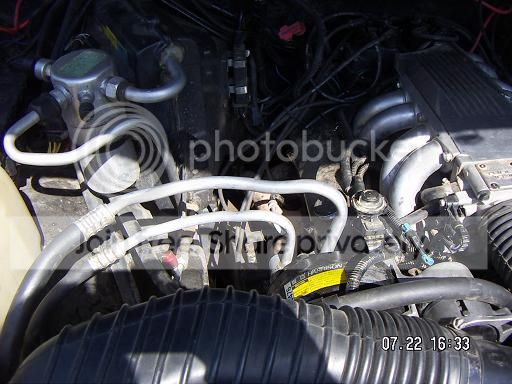 PICT0124.jpg