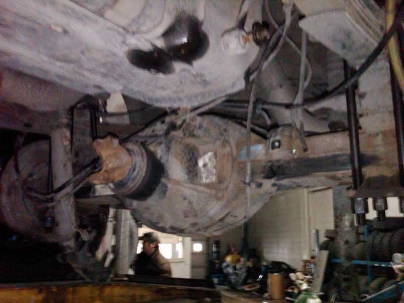 IMG00630-20110217-0905.jpg