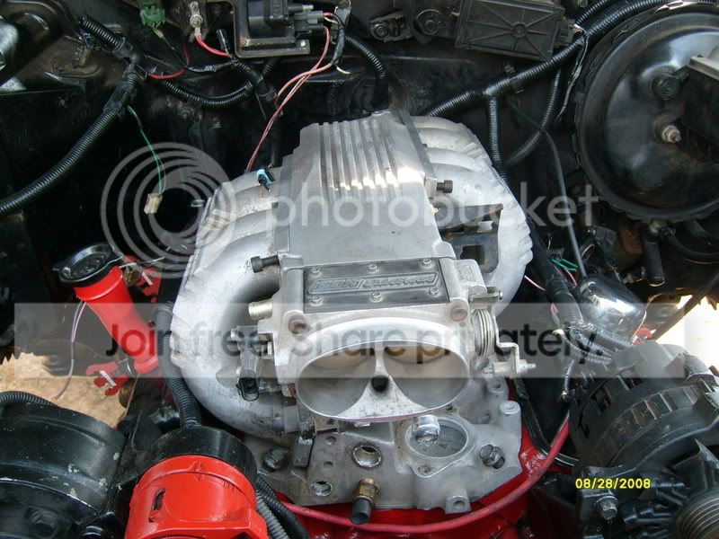 S7300602.jpg