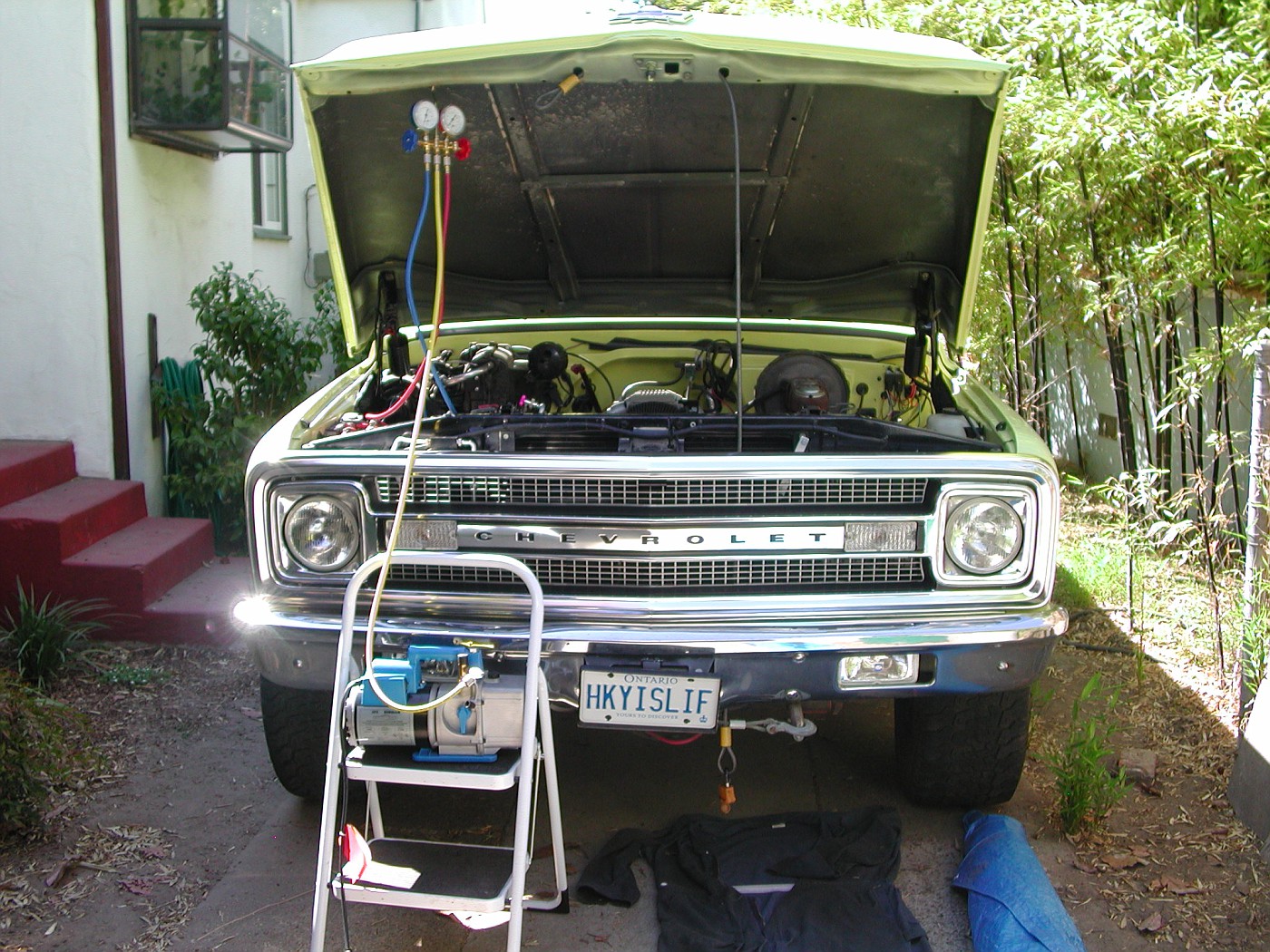 DSCN0978-vi.jpg