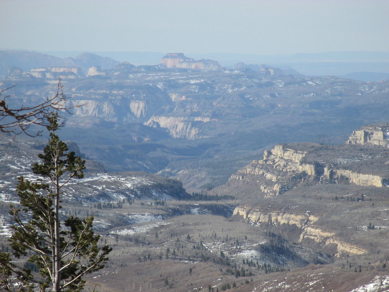 8611277201_73e59ba273_c.jpg
