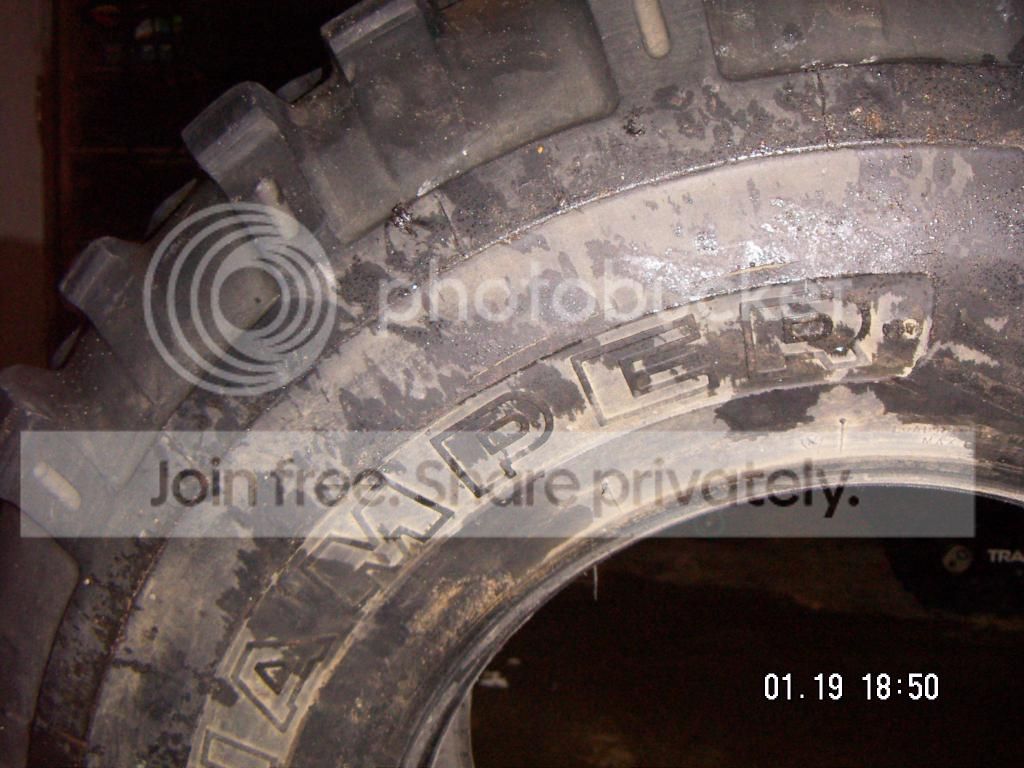 PICT0557.jpg