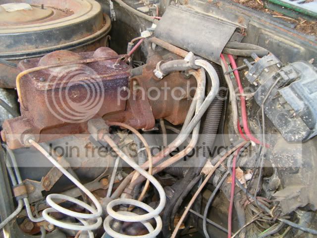 momsflowersjunkyard007.jpg