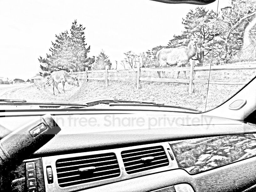 pencil_sketch_1361924640573_zps975870f4.jpg
