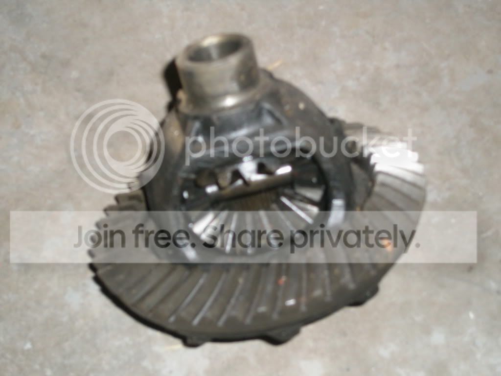 D44307RP.jpg