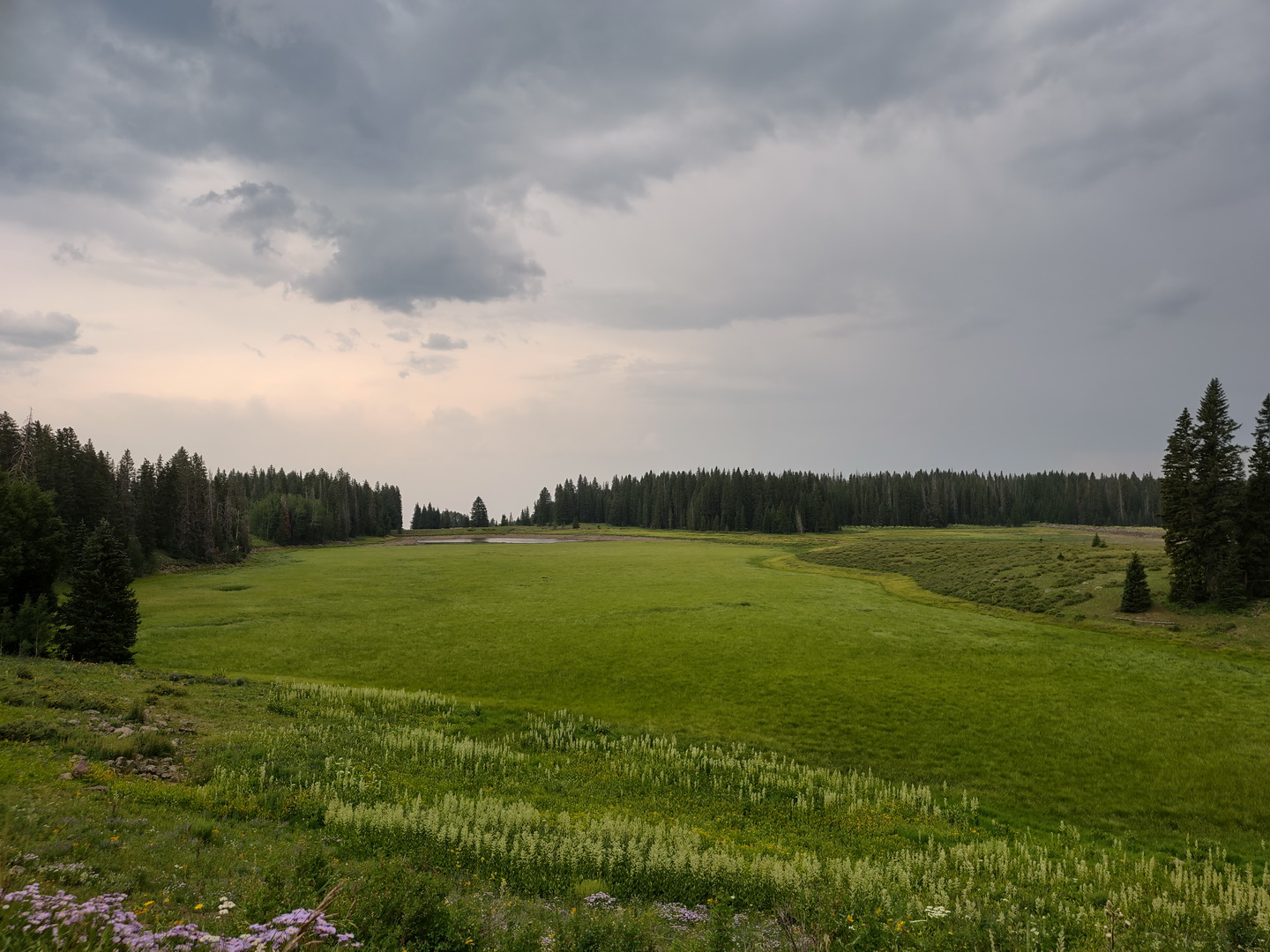 IMG_20210713_161132240_HDR.jpg