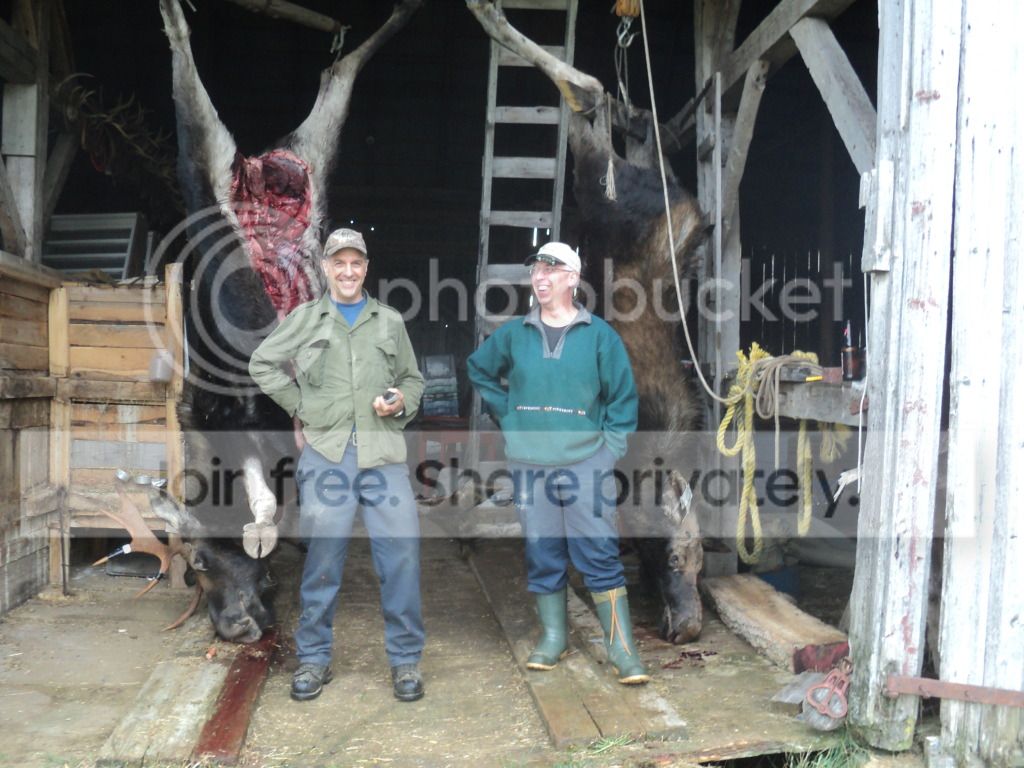 2011vachebuck022.jpg