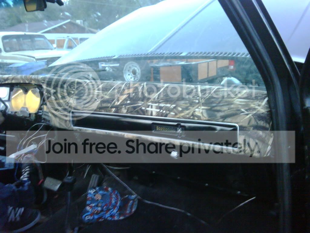 IMG00229-20100630-2022.jpg