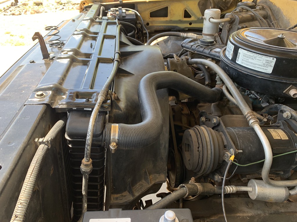 49793967943_bb18b174e3_b.jpg