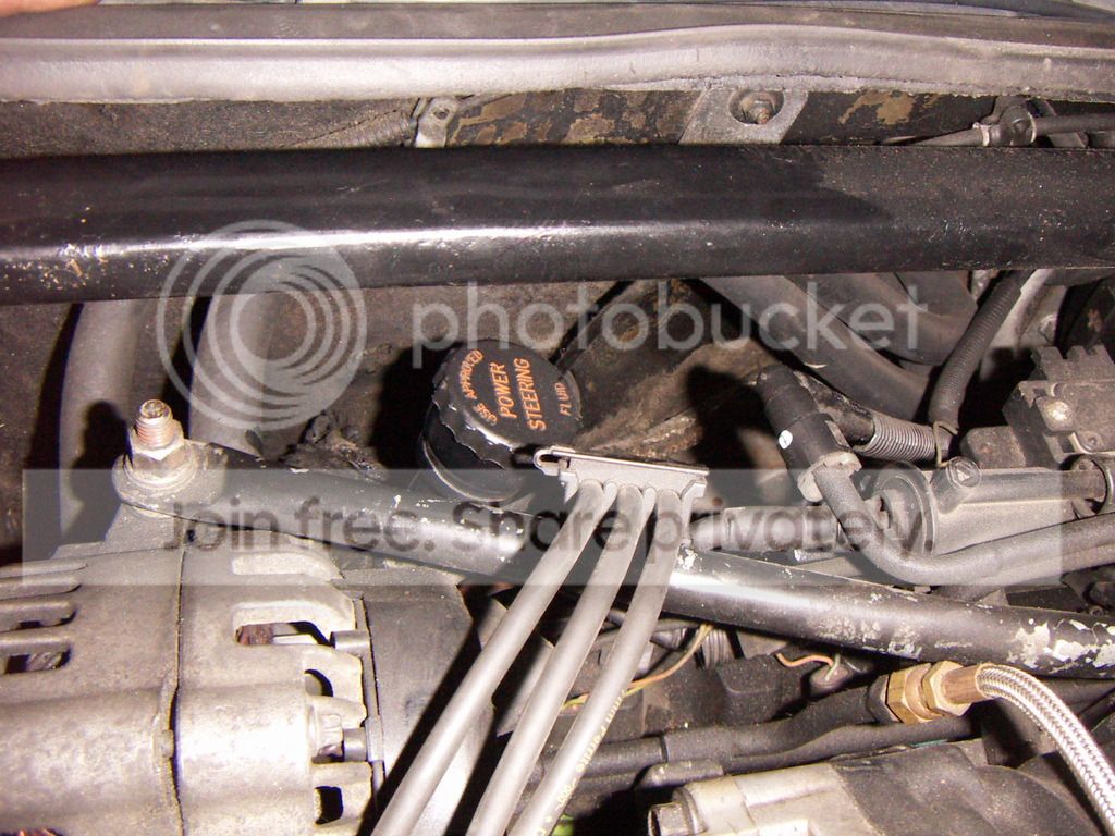 PICT0204.jpg