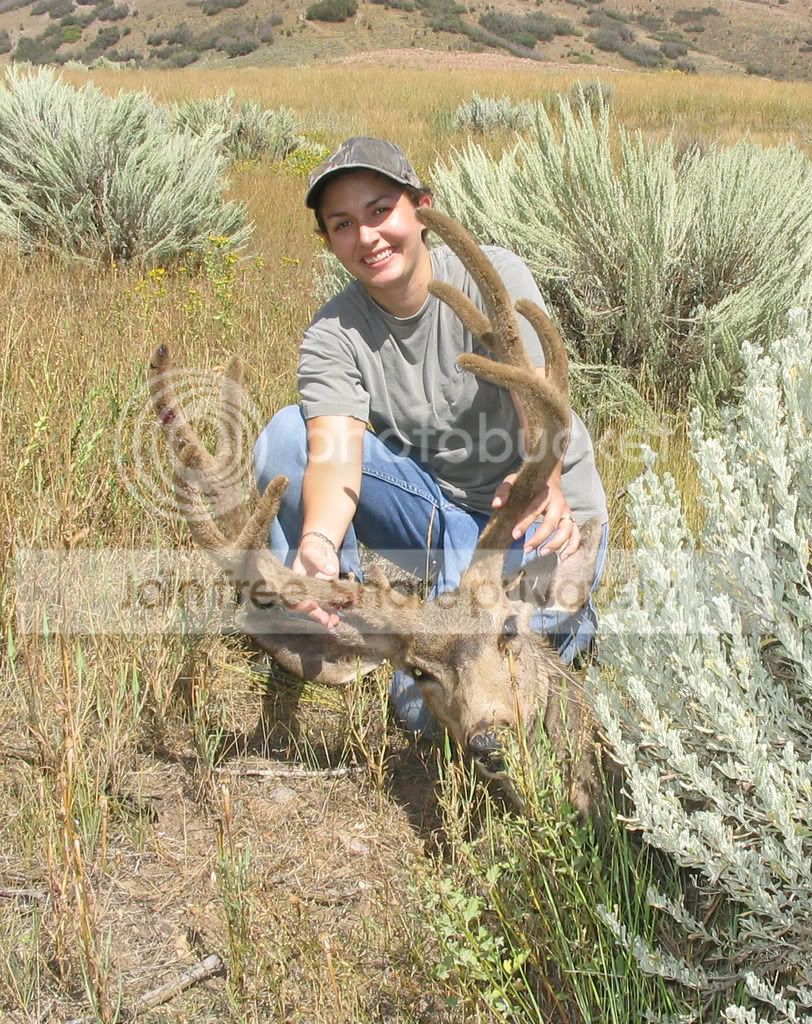 8-04UTArchery.jpg
