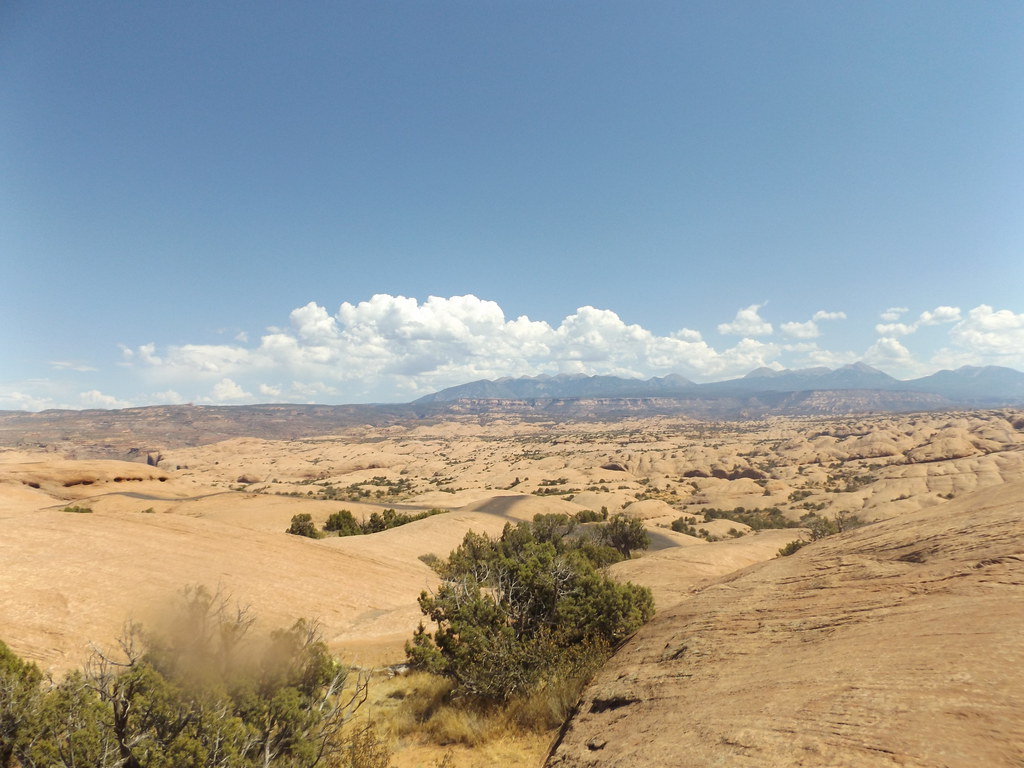 48725149932_a9756b3368_b.jpg