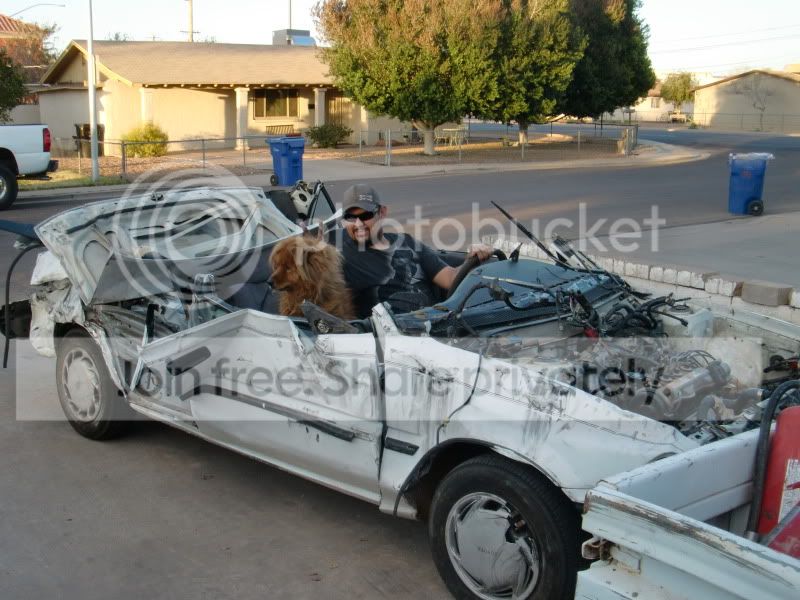 CIMG1702.jpg