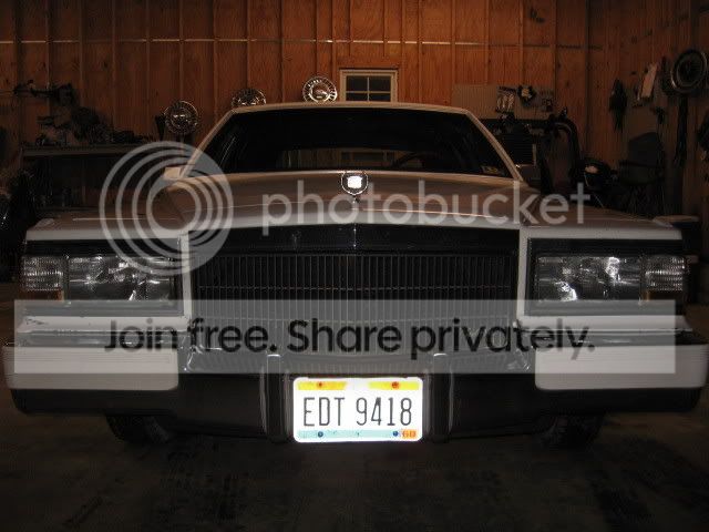 IMG_3391.jpg