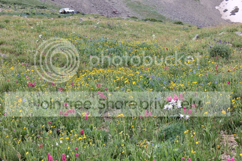 IMG_6094.jpg