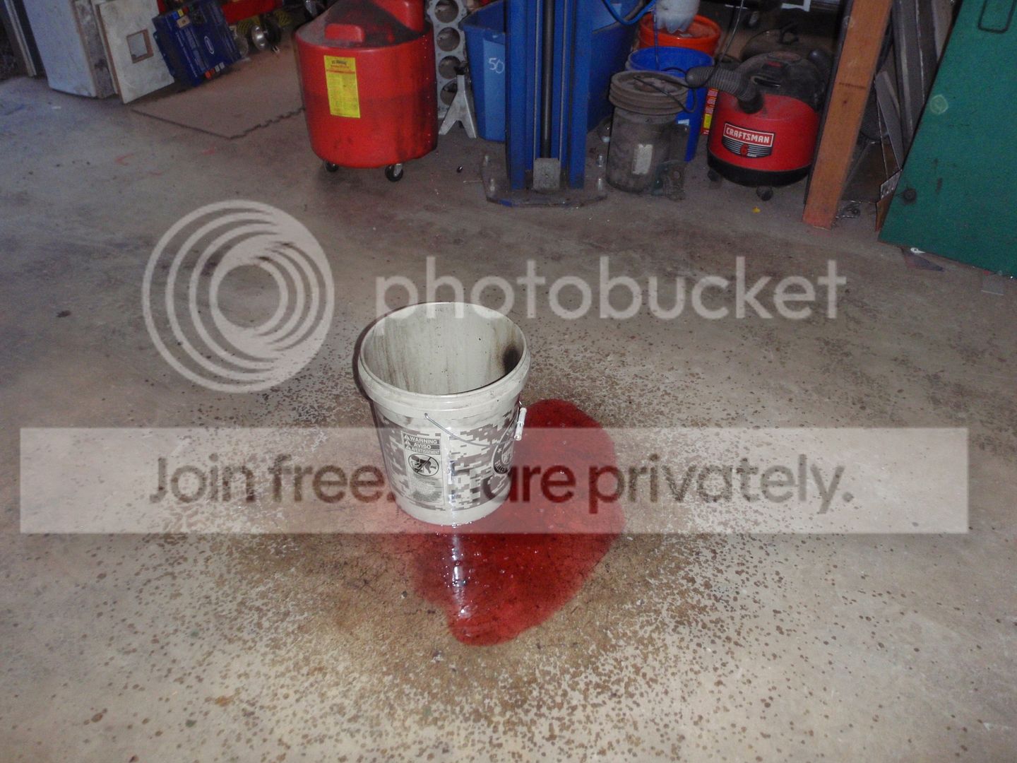 P7060839_zpstjgvqnnk.jpg