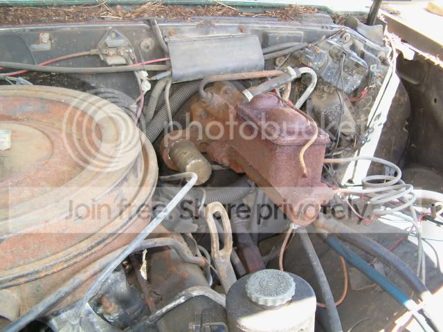 momsflowersjunkyard006.jpg