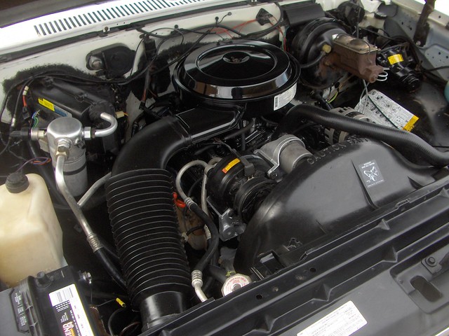 6647972687_08c9e85d7f_z.jpg