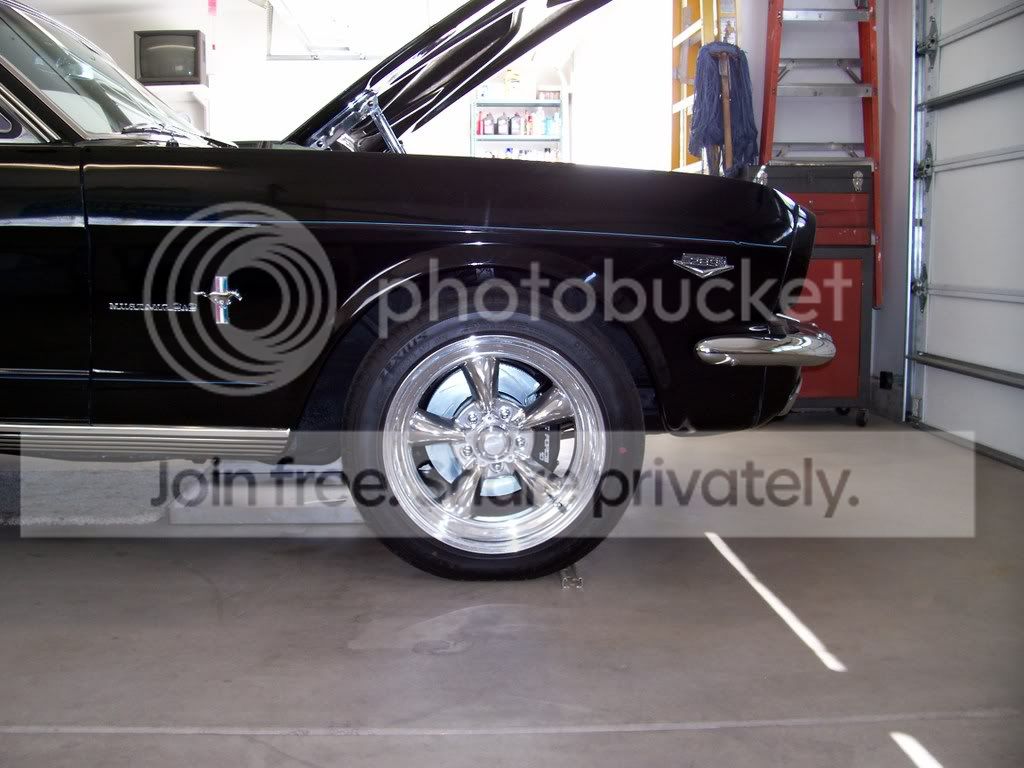 carpics107343.jpg