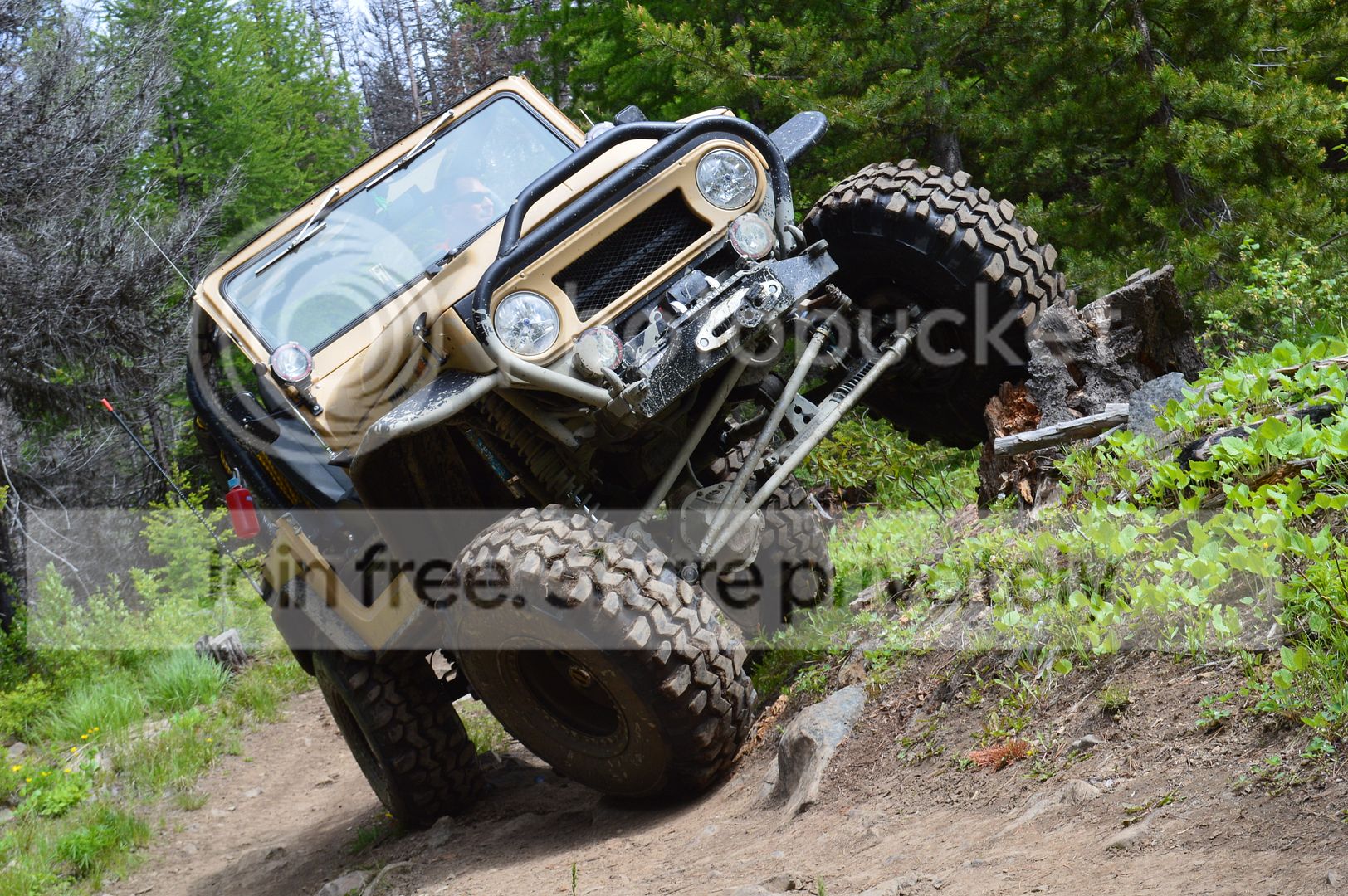 DSC_0193_zpsvcenesn0.jpg