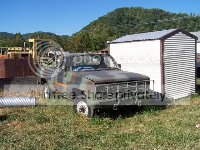 pics256.jpg