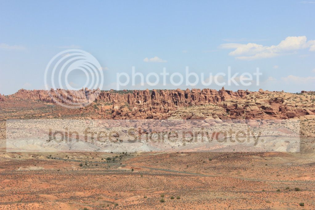 IMG_5575.jpg