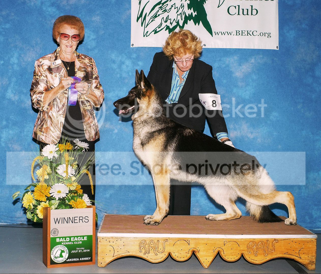 Cassie1yearBaldEagle_zpsdlqq4mna.jpg