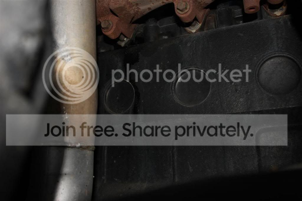 IMG_9077Medium_zpsb3b71fd3.jpg