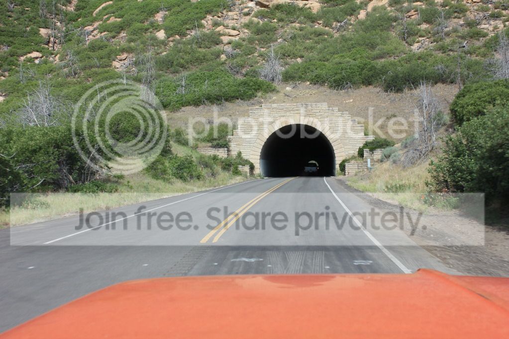 IMG_5688.jpg