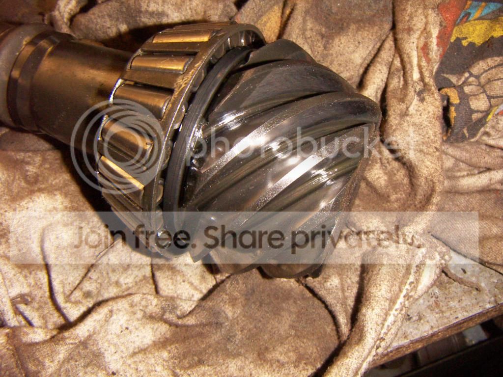 PICT0740.jpg