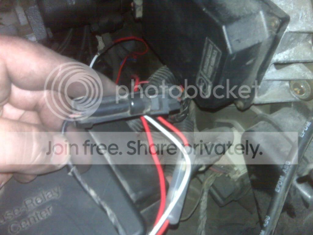 IMG00188.jpg