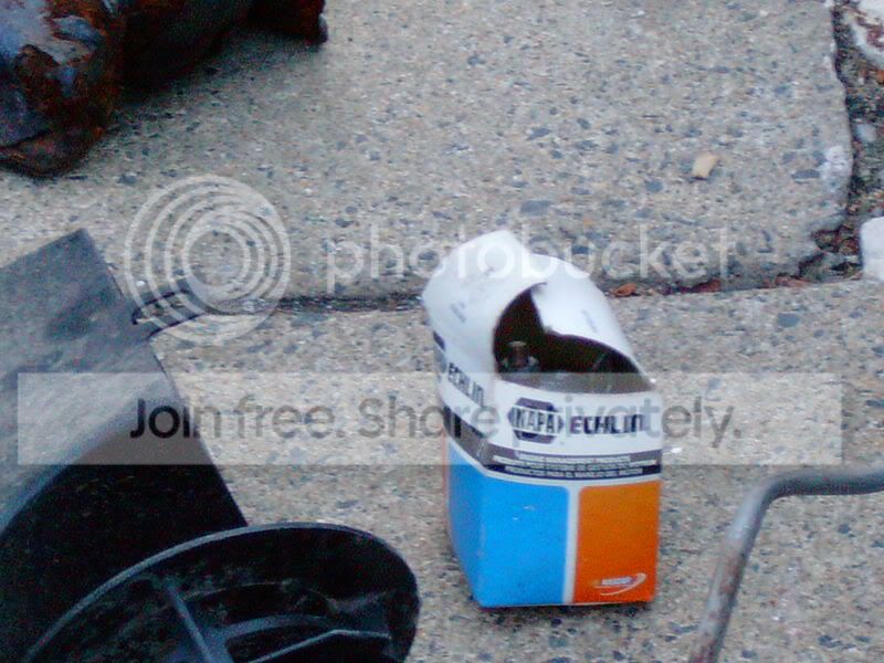 Picture026.jpg