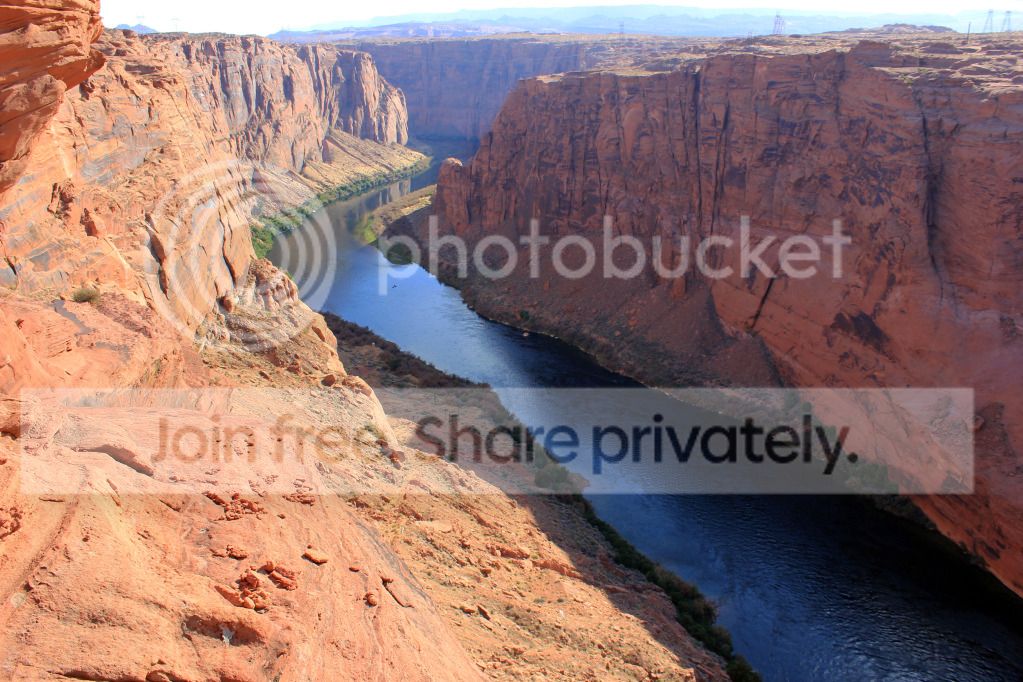 IMG_46431.jpg