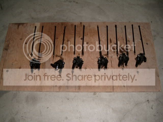Picture079.jpg