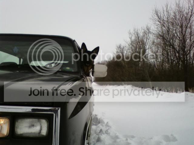 truck4.jpg