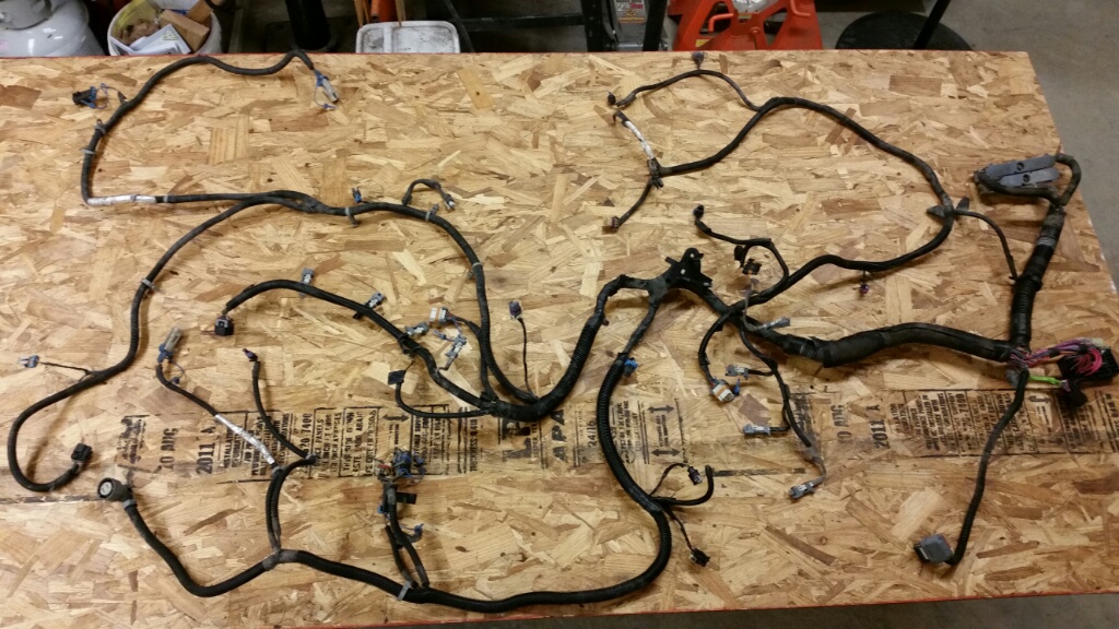 Harness1.jpg