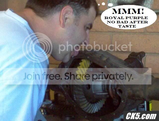 IM000279.jpg
