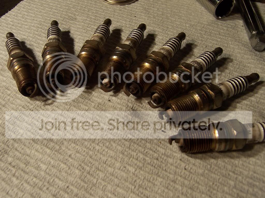 100_6840.jpg