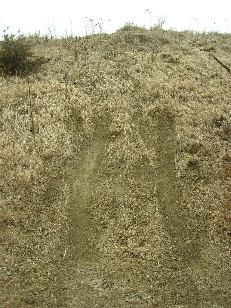 Picture005-1.jpg